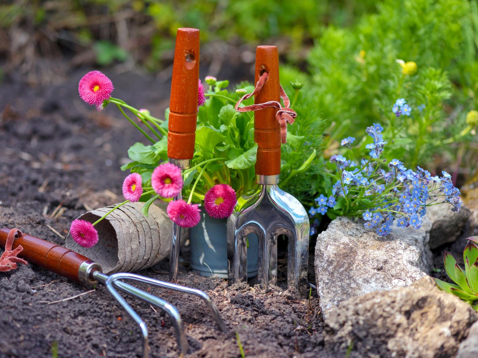 5 Best Gardening Tools Every Home Gardener Needs