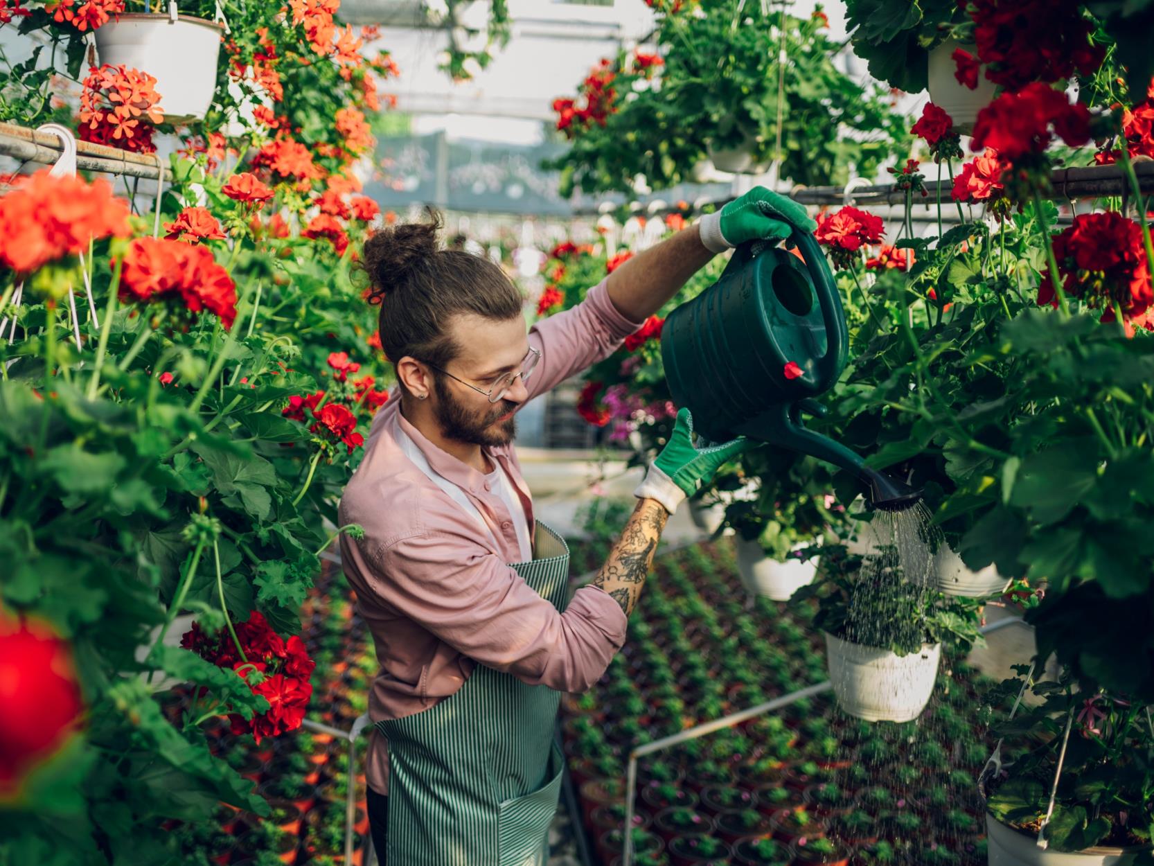 Avoid Common Mistakes: Expert Advice on Watering Your Flowers Properly