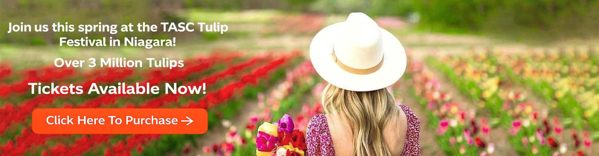 TASC Tulip Farm in Niagara-on-the-Lake with vibrant spring tulip fields