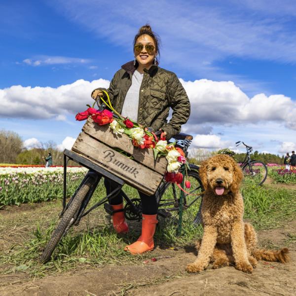 Tulip pick farm with dog and bicycle