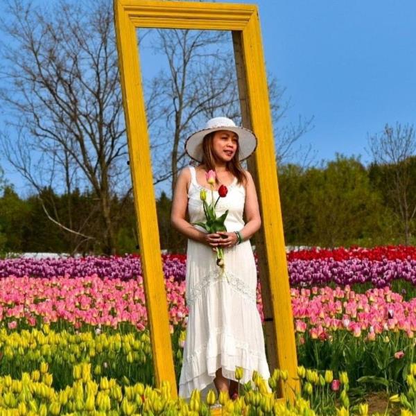 Couple in a wooden frame on the tulip pick farm