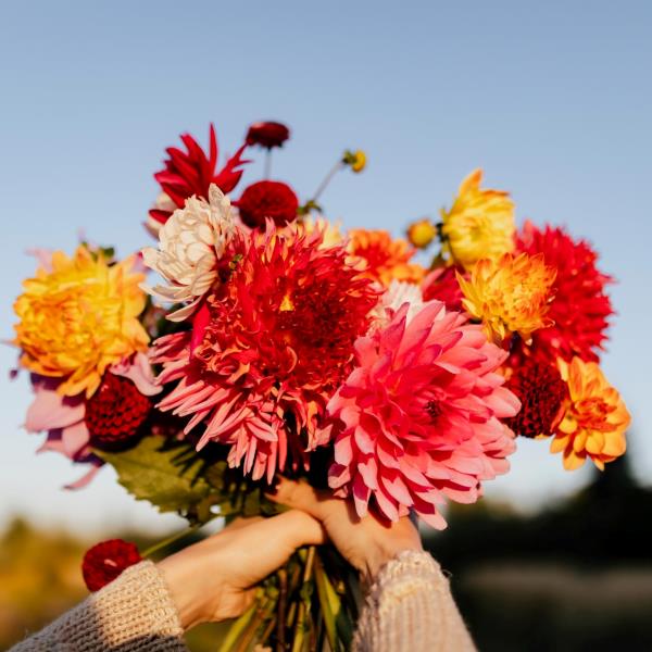 flower festival