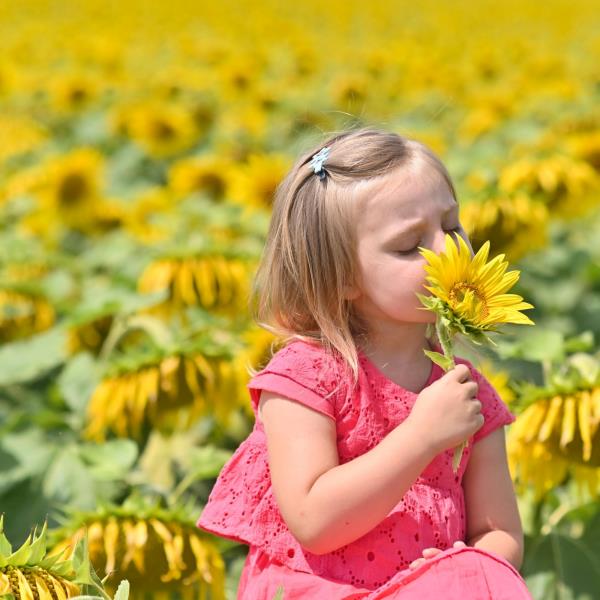 flower festival