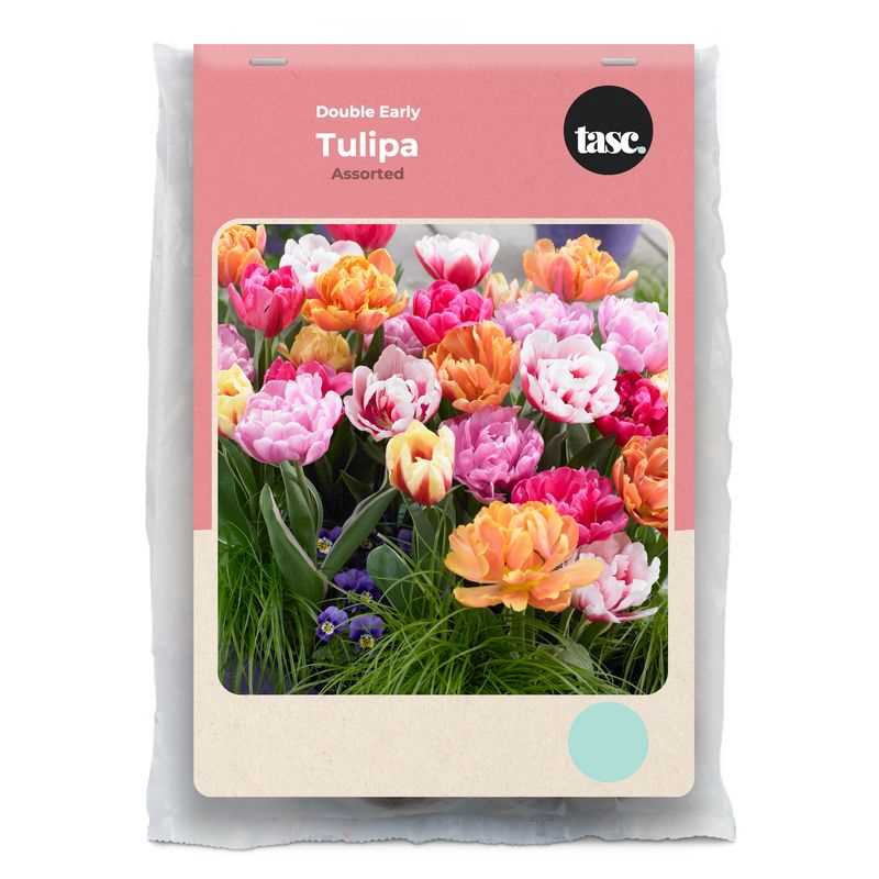 Tulip Double Early Assorted