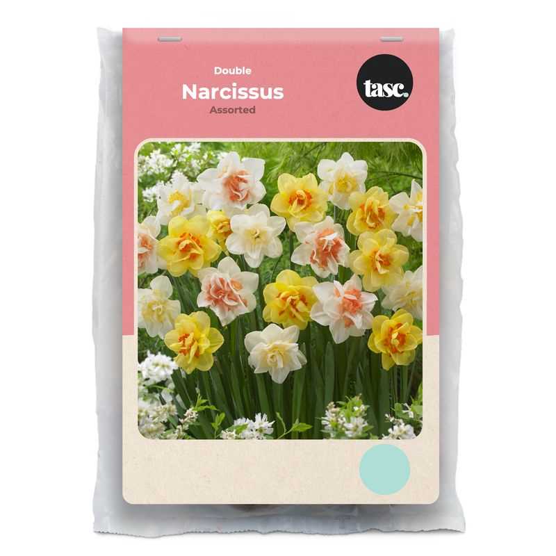 Narcissus Double Assorted