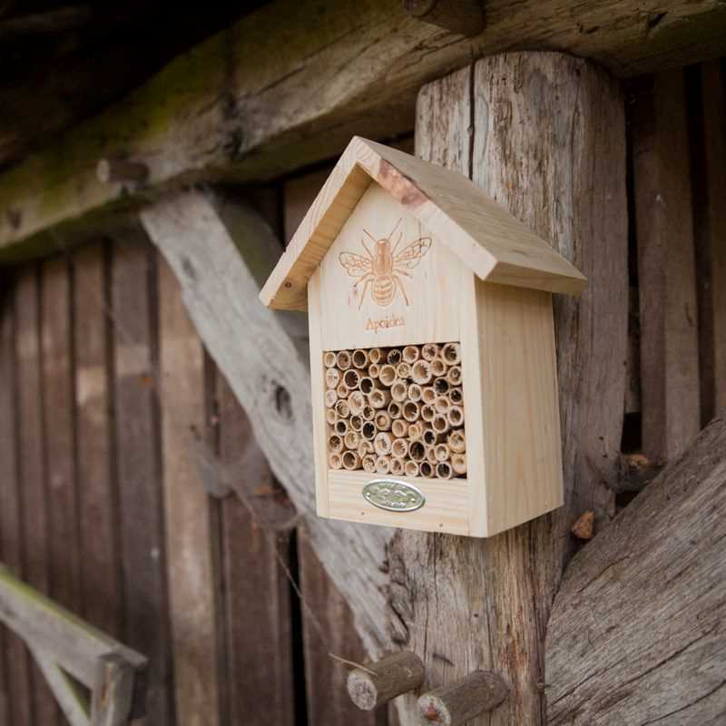 Bee Insect House