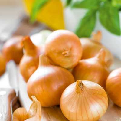 Organic Spanish Onion