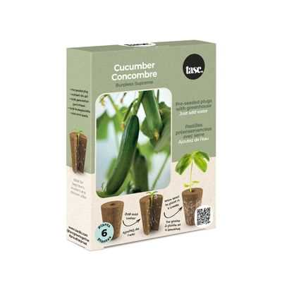 Cucumber Burpless Supreme Seed Plug Grow Kit