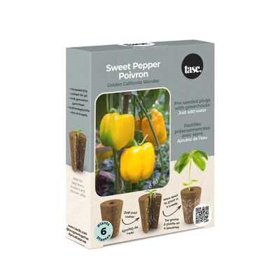 Golden Sweet Pepper Seed Plug Grow Kit