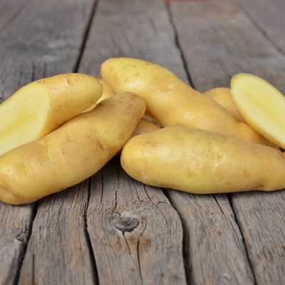 Austrian Crescent Fingerling Potato