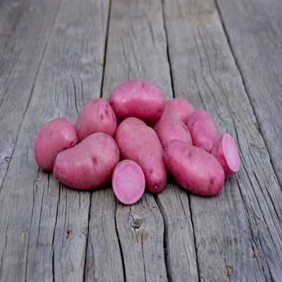 Red Thumb Potato